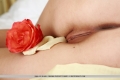 Playful rose: Irina J #15 of 17